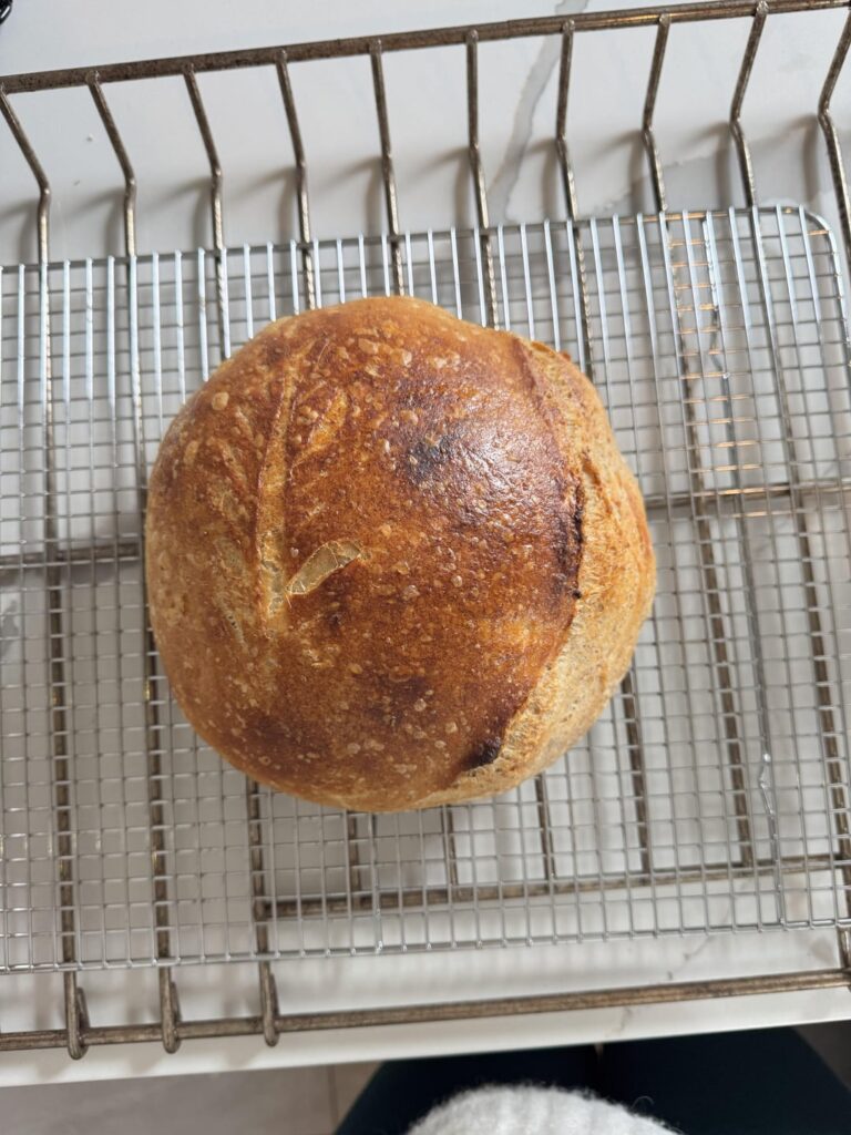 Roast my first ever loaf Roast my first ever loaf