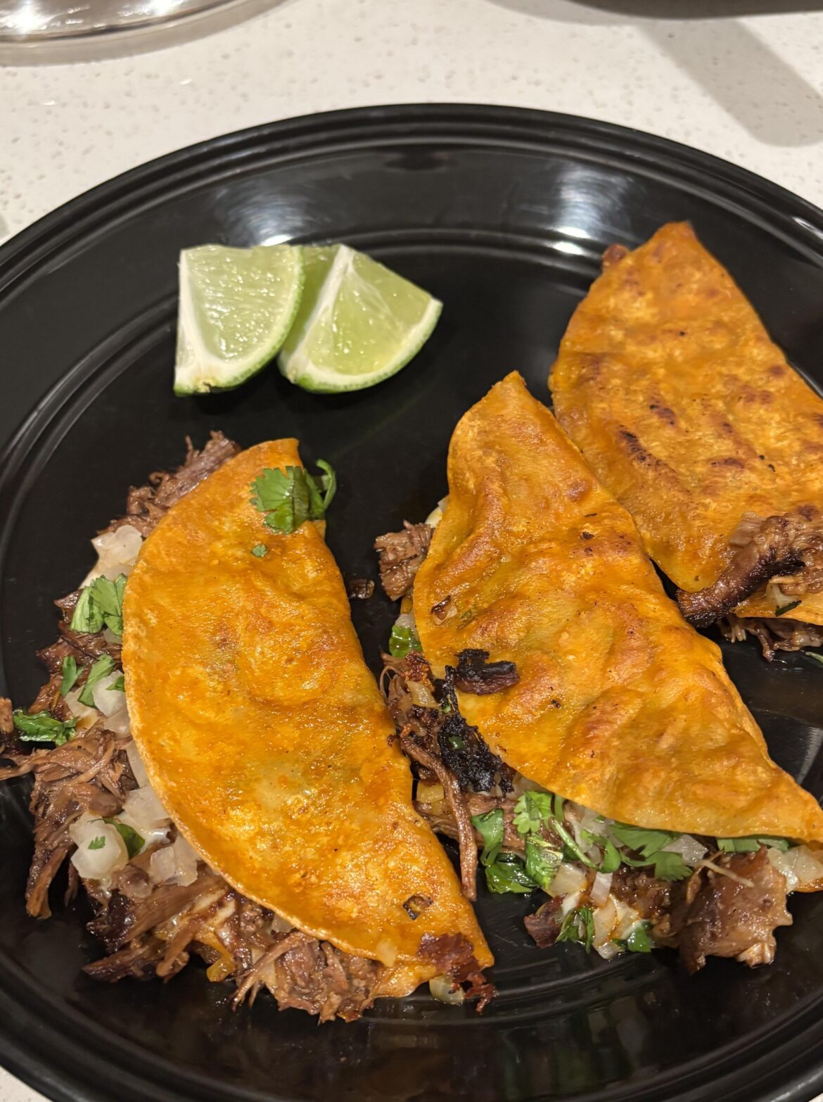 Made some birria, did not regret it