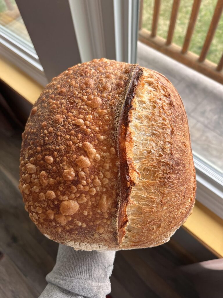 Looking for feedback! Looking for feedback!