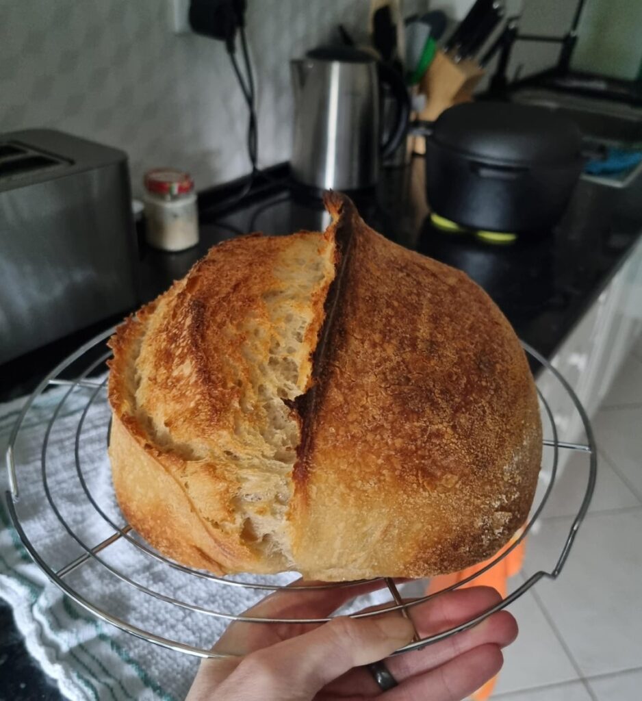 Not a pancake! Not a pancake!