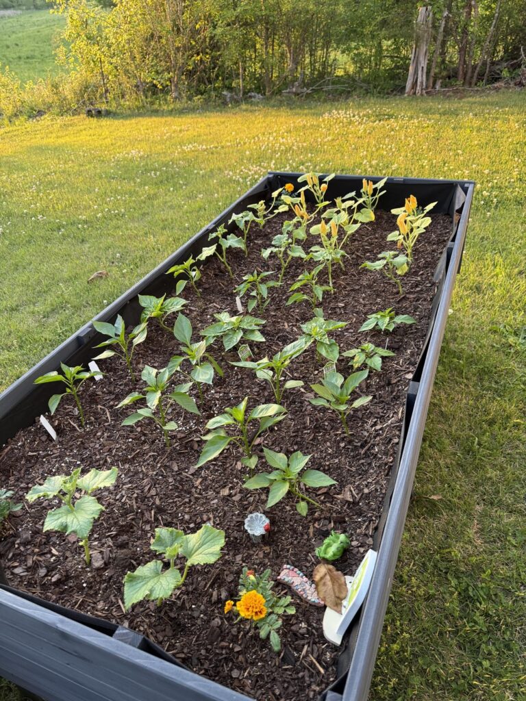 Are these guys okay? Got help a few days ago and things look much better.