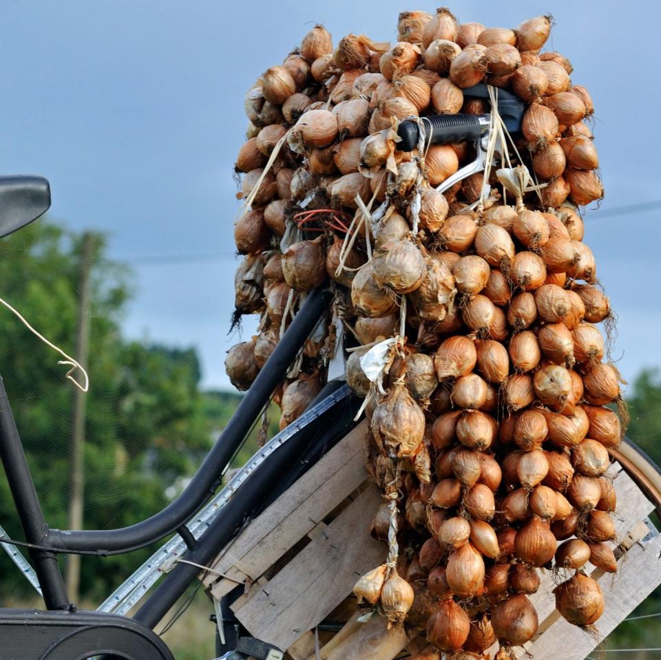 Roscoff onions last for months