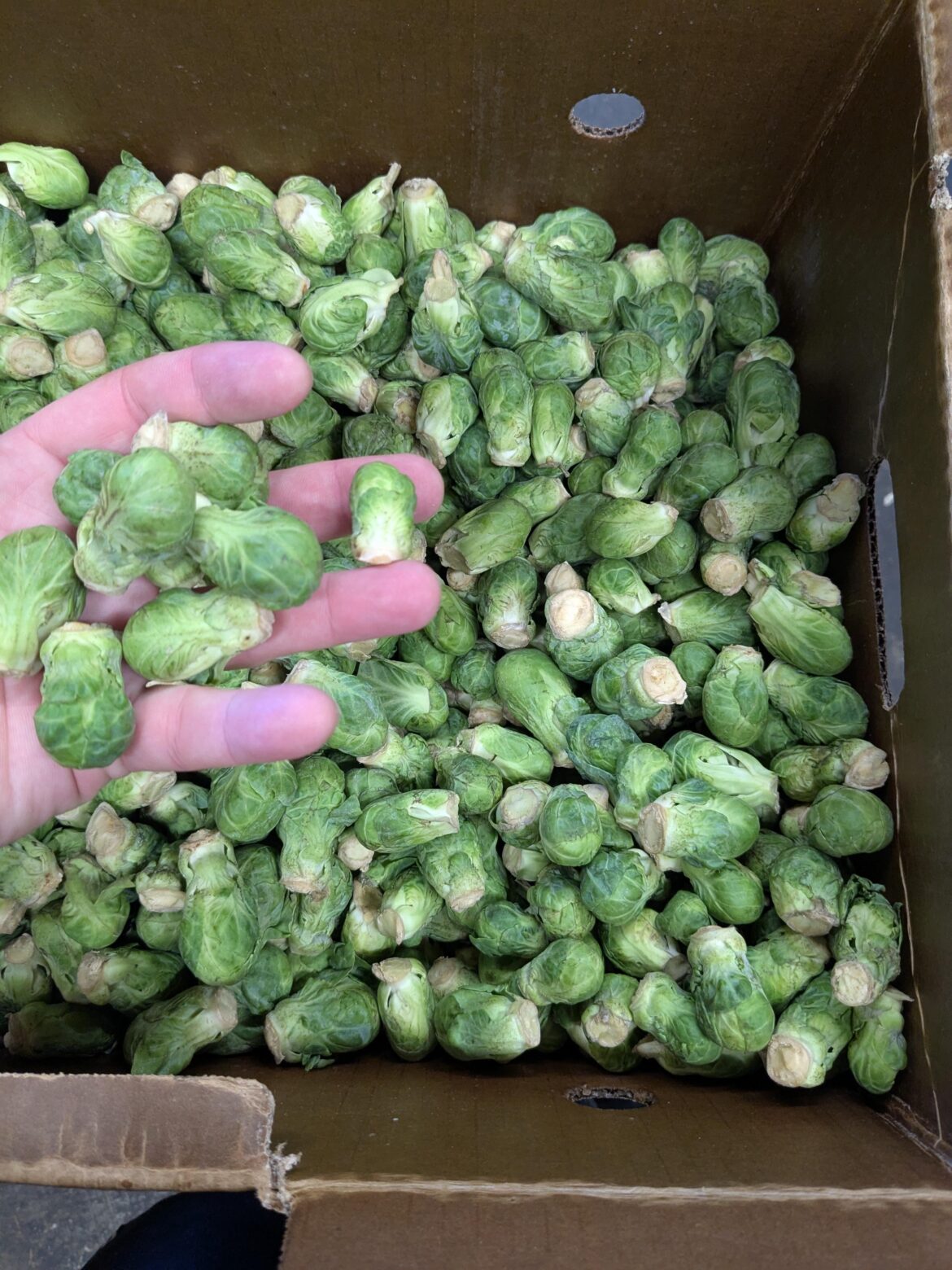 Look what the bastards sent us today