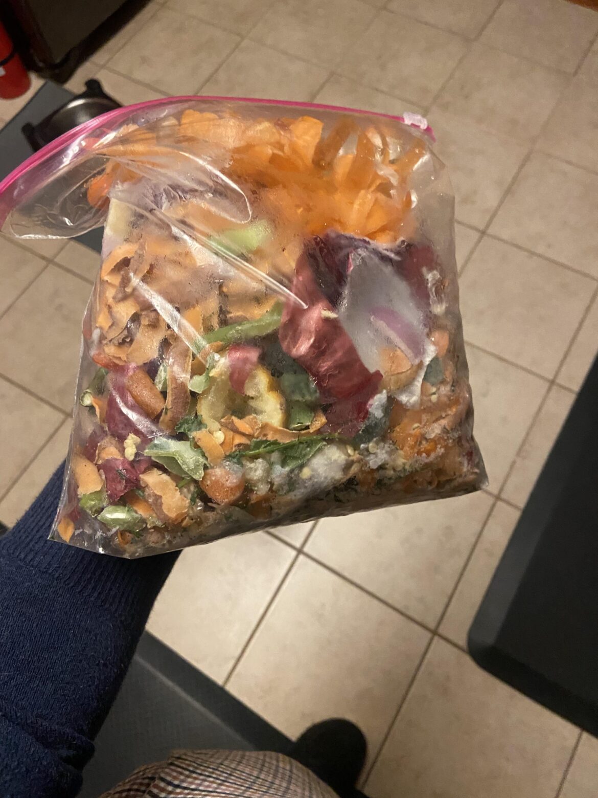 Does anyone else collect their scraps to make stock later?