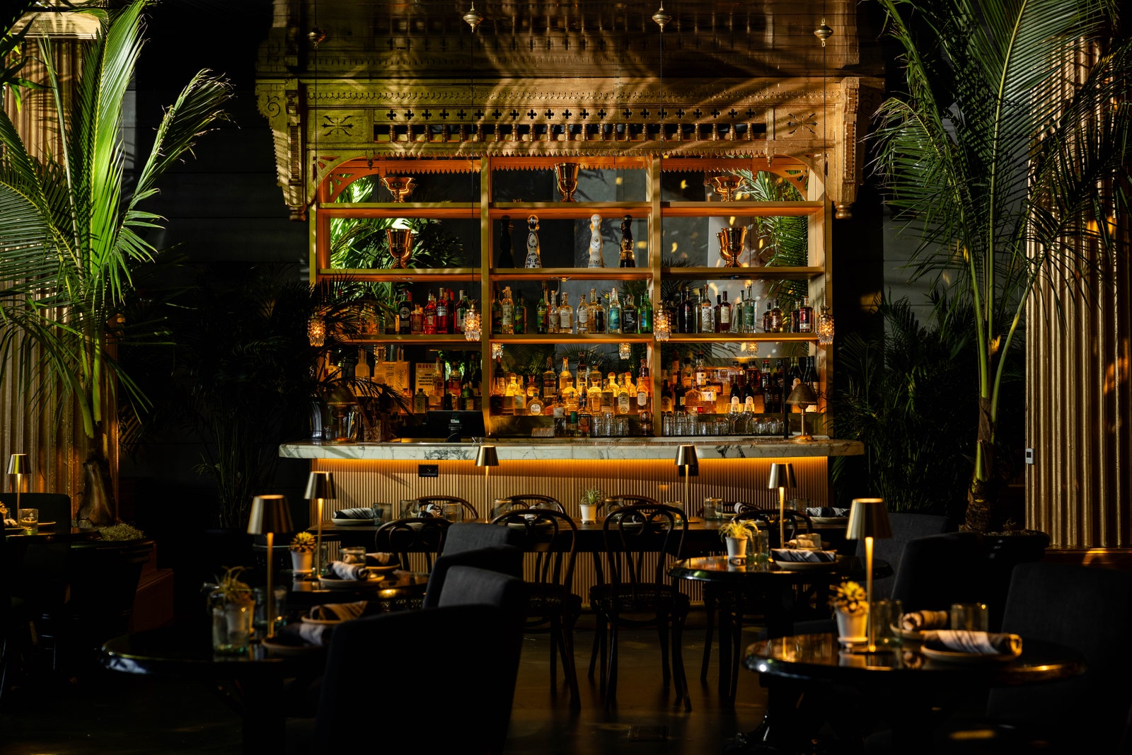 Image may contain Bar Plant Chair Furniture Cup Lamp and Urban