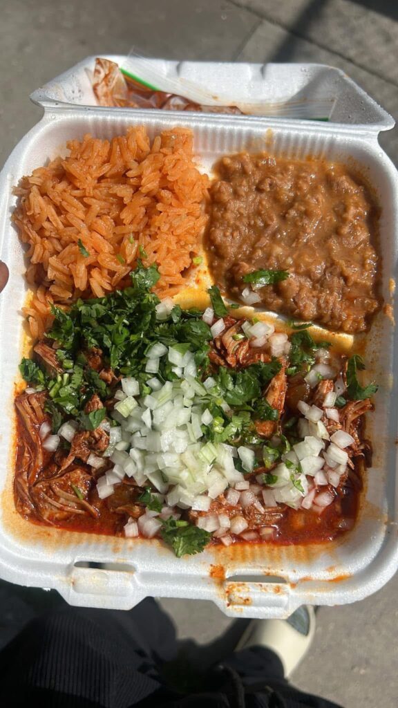 Birria Plate