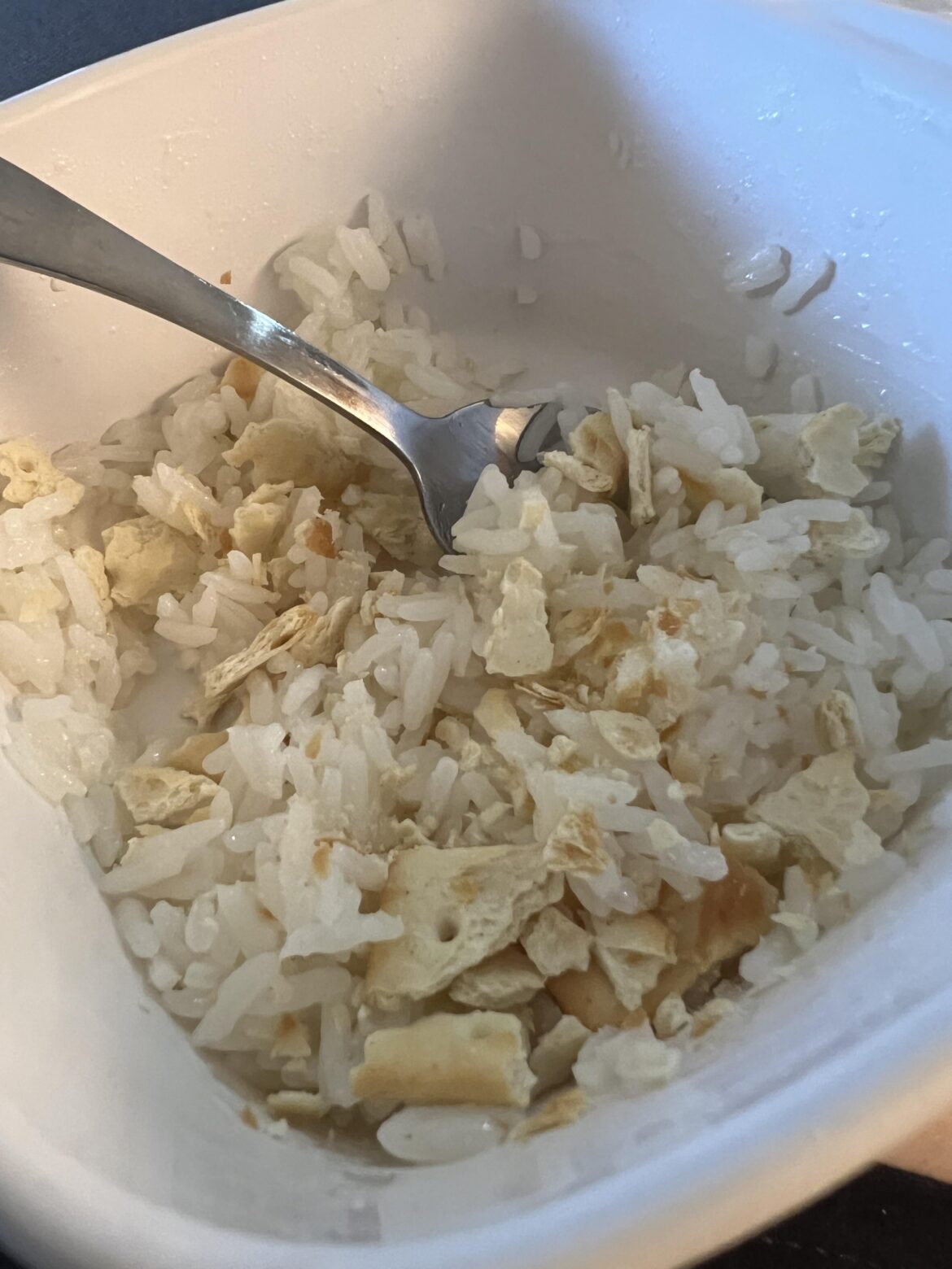 Been sick with the worst stomach bug ever. I present to you my first meal in 48 hours.