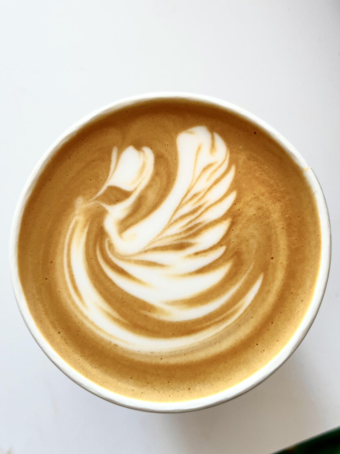 After months of trying and giving up, I finally managed a swan that isn't total roadkill