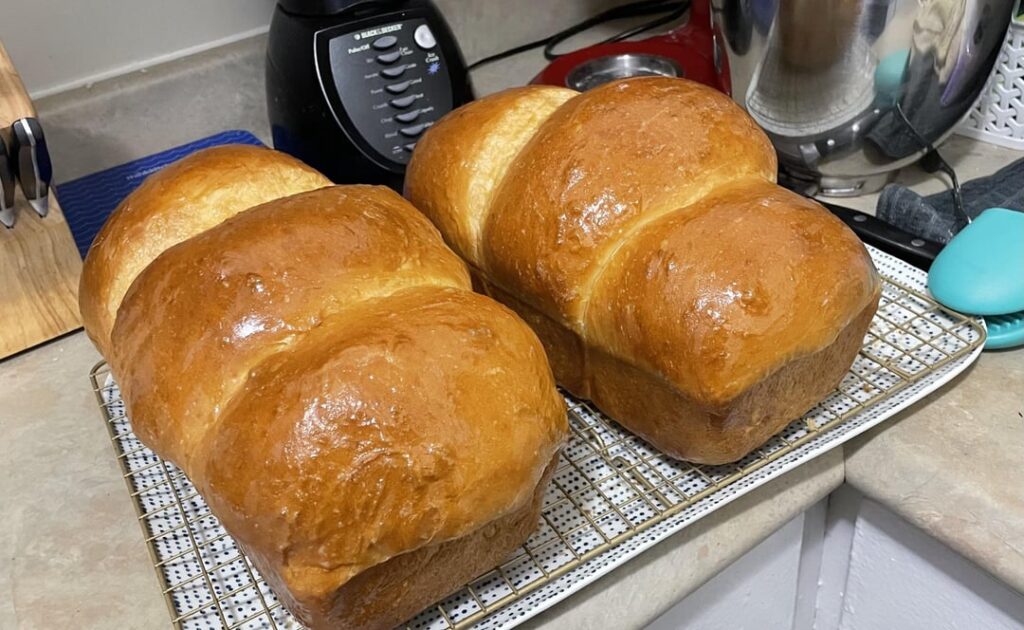 I baked some traditional Newfoundland style homemade bread today!