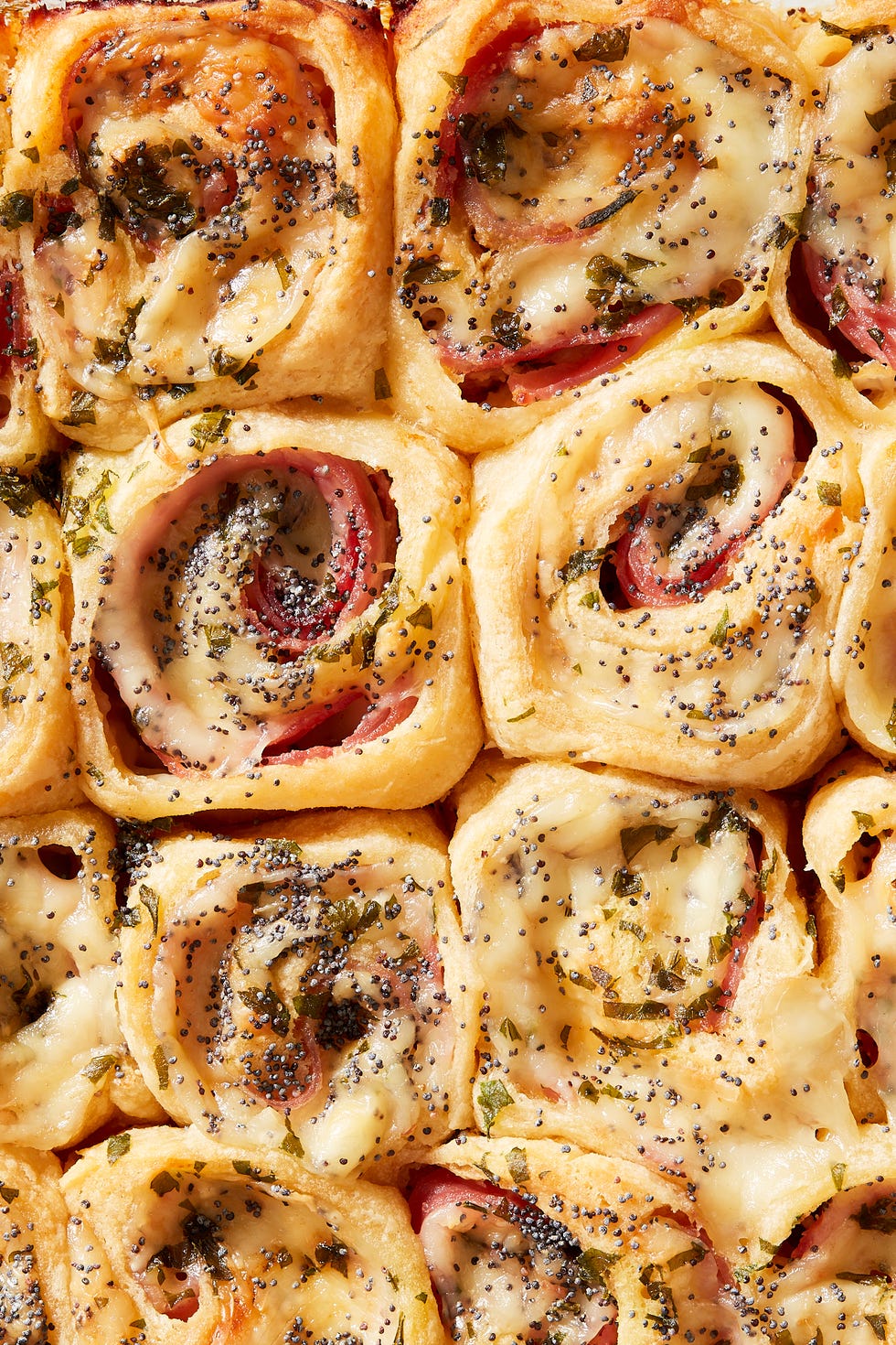 close up of ham and cheese pinwheels garnished with poppy seeds