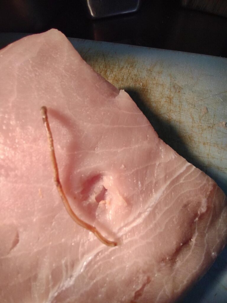 Parasite in a swordfish loin?