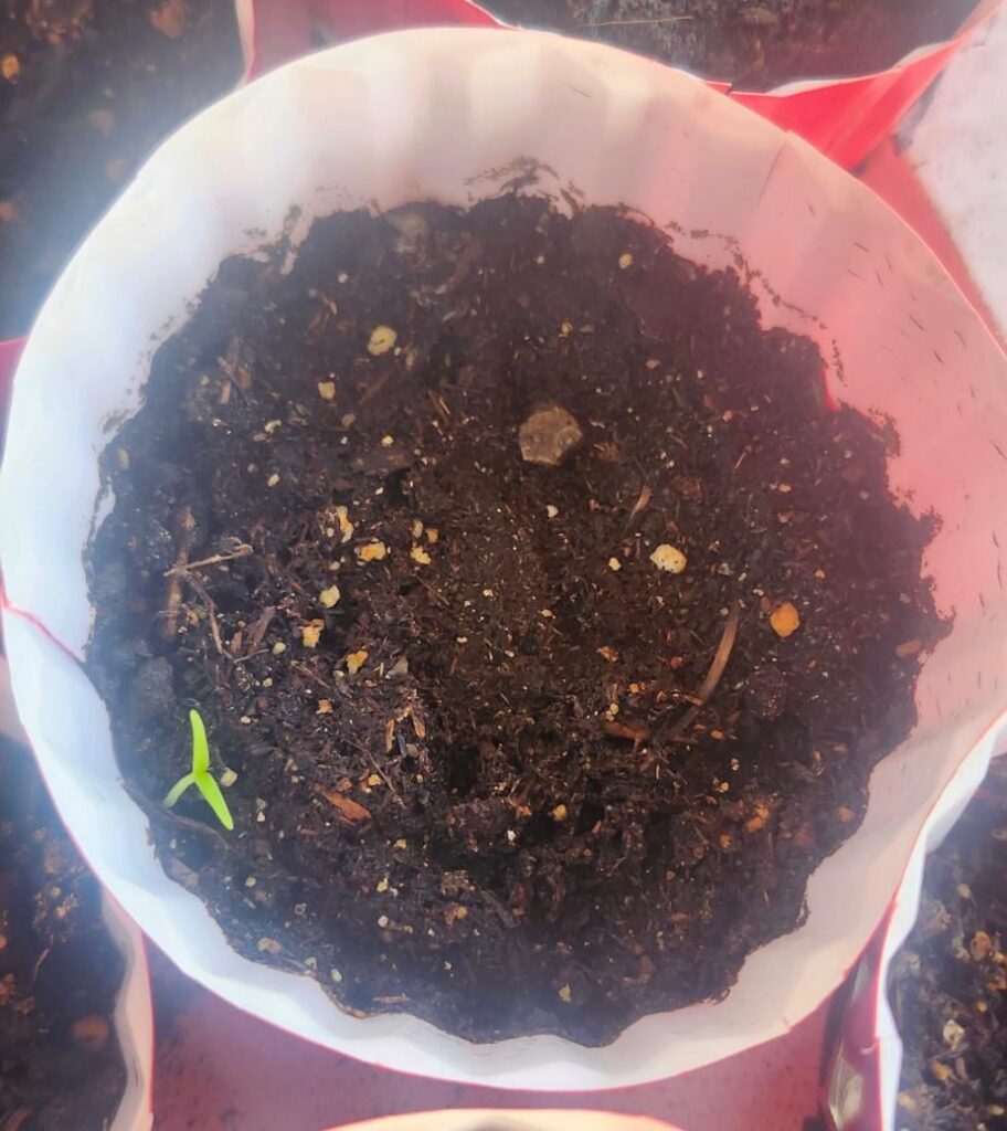 C'mon, man. You know that's not at all where I put you.