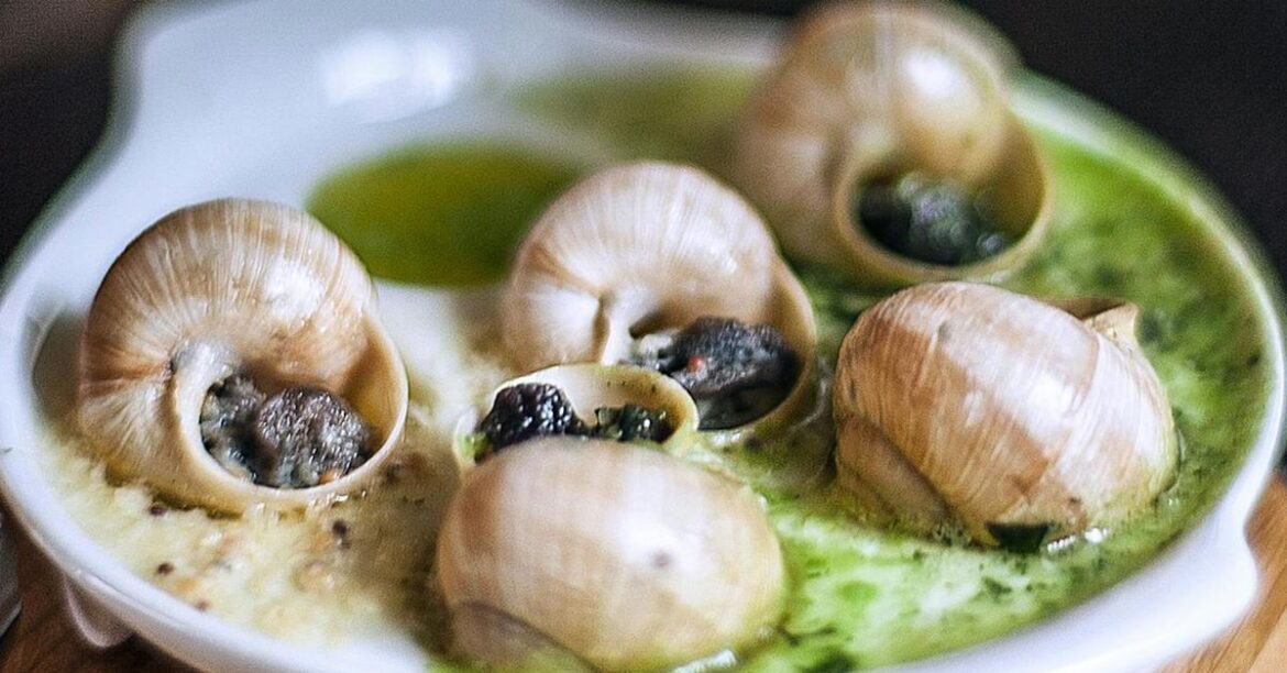Escargot: France’s most famous dish is shrouded in mystery, here’s what to know about escargot | Explainer Escargot: France's most famous dish is shrouded in mystery, here's what to know about escargot | Explainer