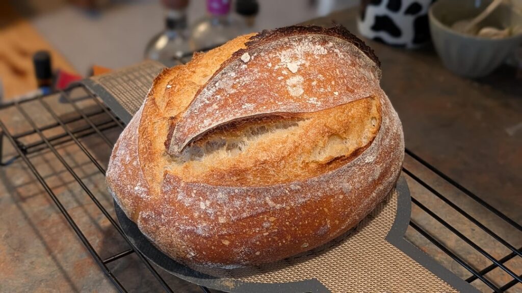 Beginner's luck? First loaf! I'm so happy with it, but please critique for my future experimentation.