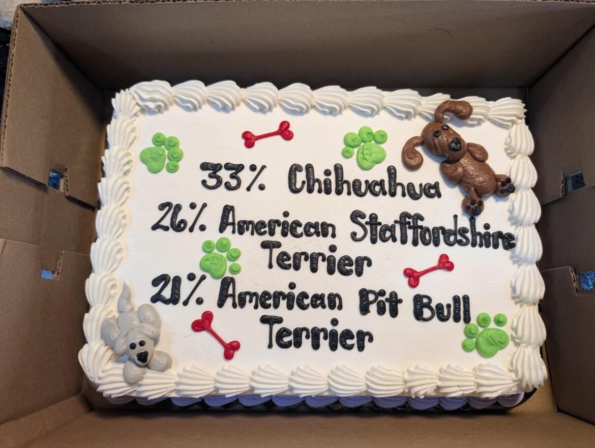 Dog Breed Reveal Cake