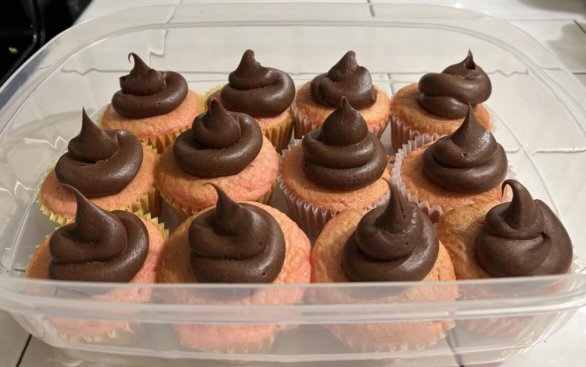 My icing looks like crap….literally.