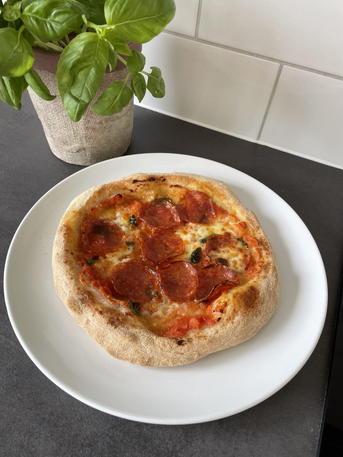 Little pizza made from leftover dough