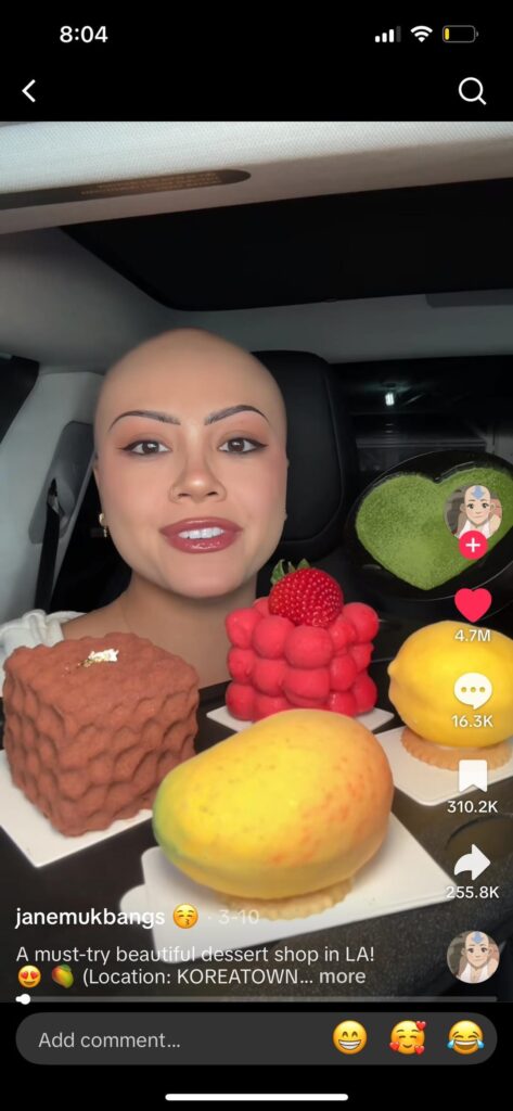 Janemukbangs LA dessert but in NYC??