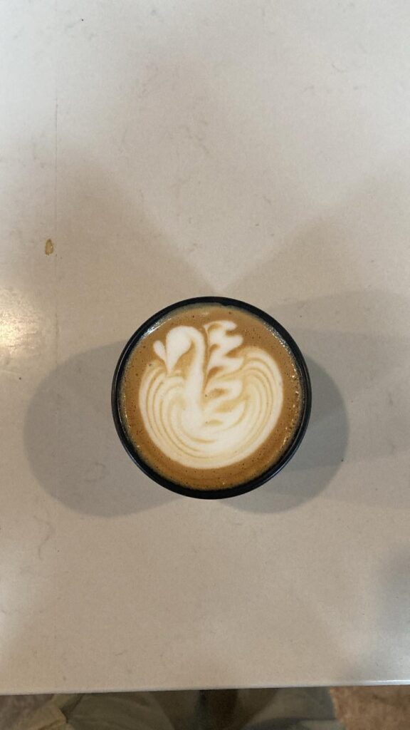 Goodnight everyone, here’s a swan cappuccino 🦢