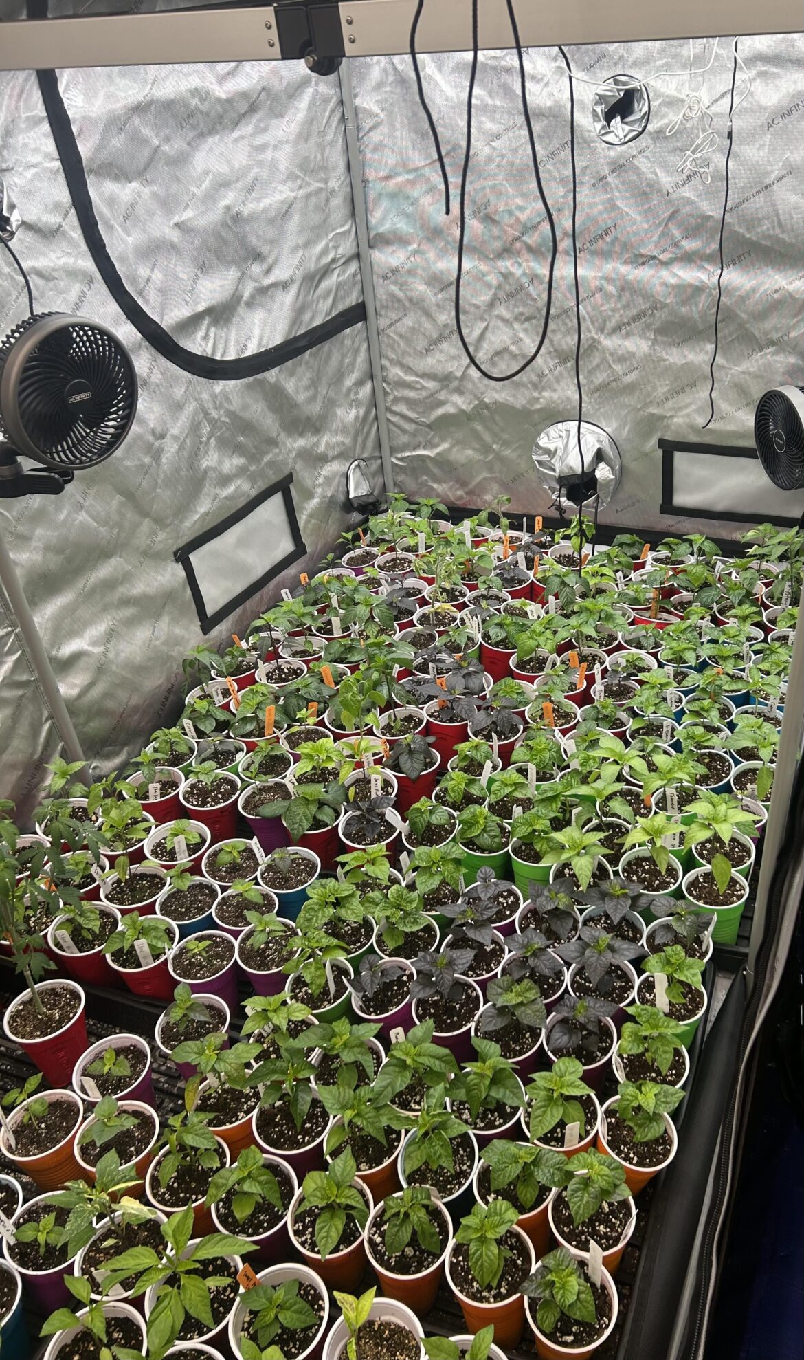 Going to be a busy year