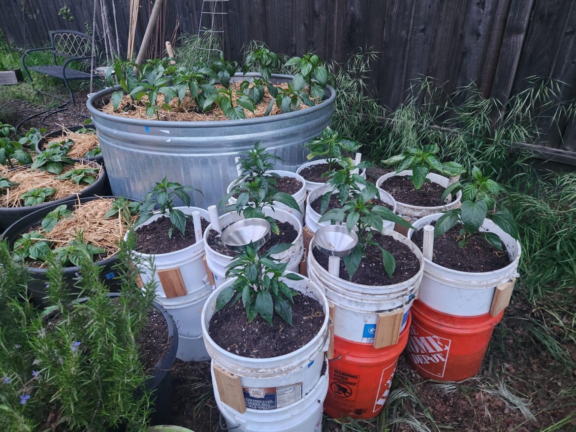 Almost everyone has a new home outside!