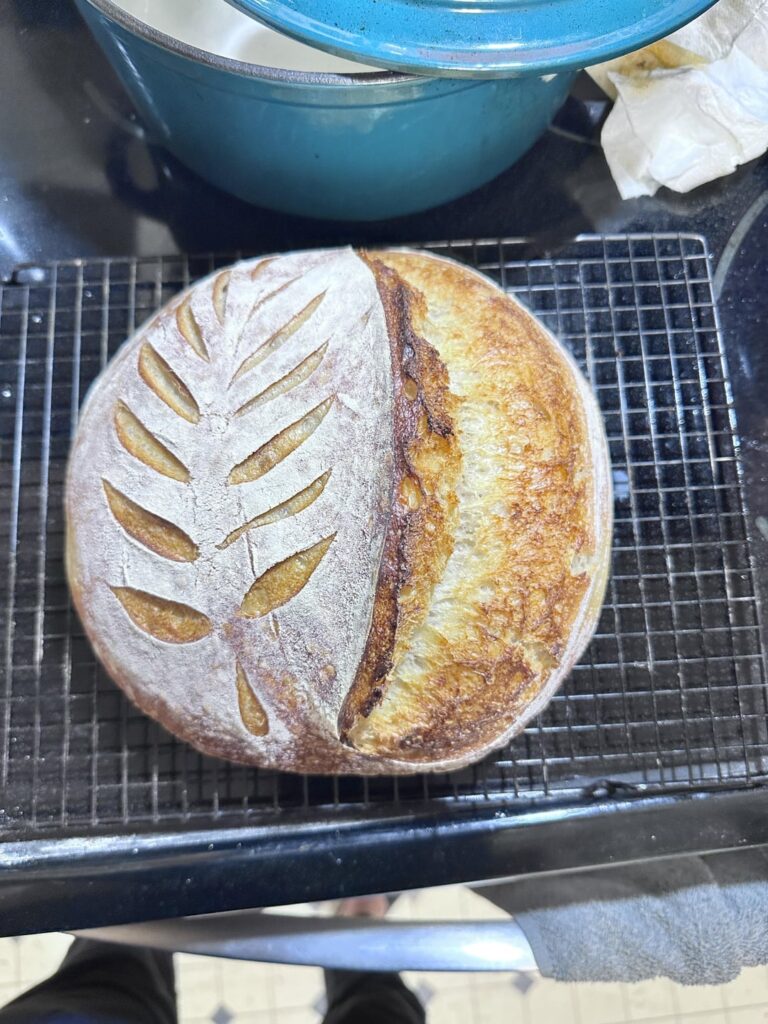 First ear I’ve gotten. :)