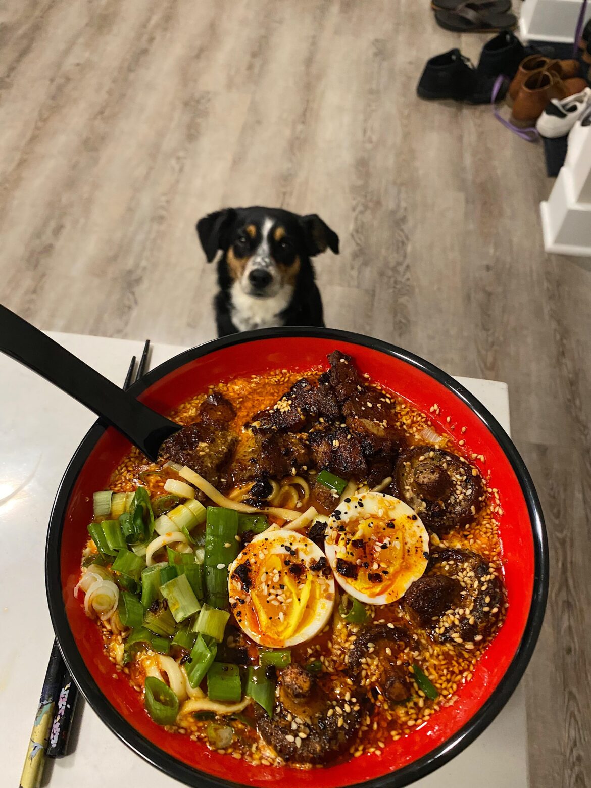 Pork belly ramen ft. Dog