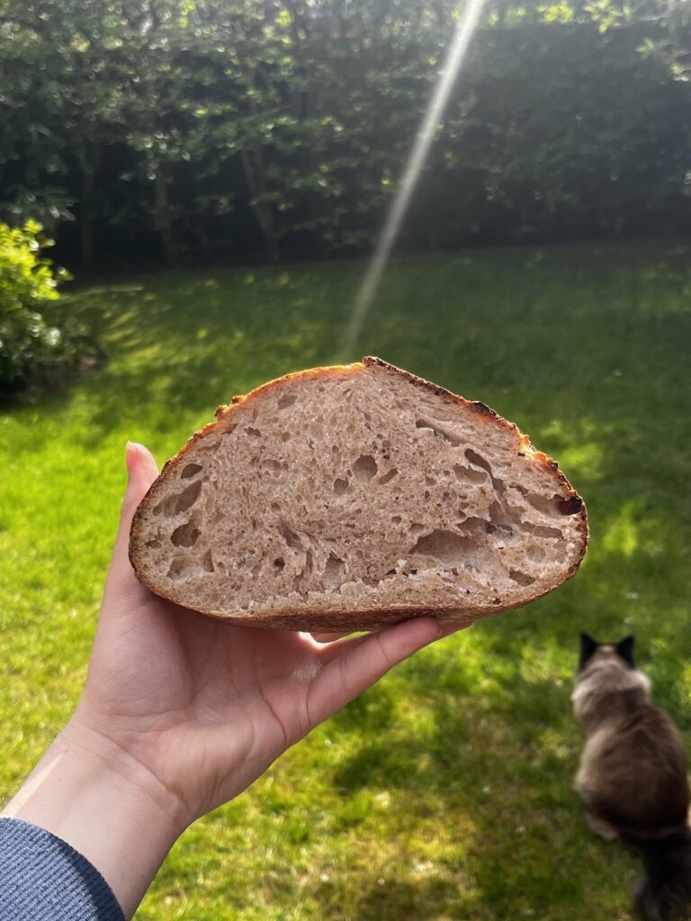 First time I haven’t baked a flat mess! First time I haven't baked a flat mess!