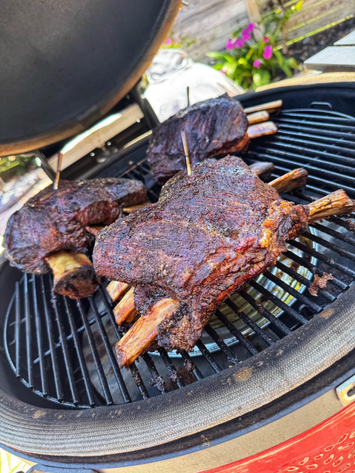 Short ribs on the BJIII 🔥