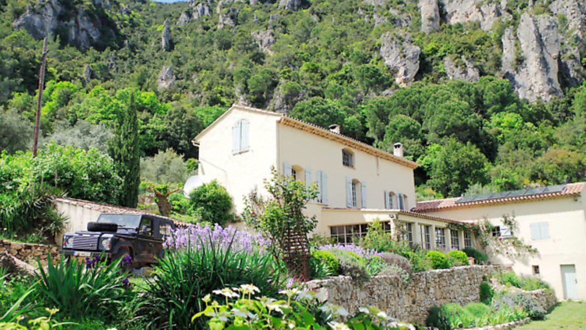 Expat life: running an olive farm in Var Expat life: running an olive farm in Var