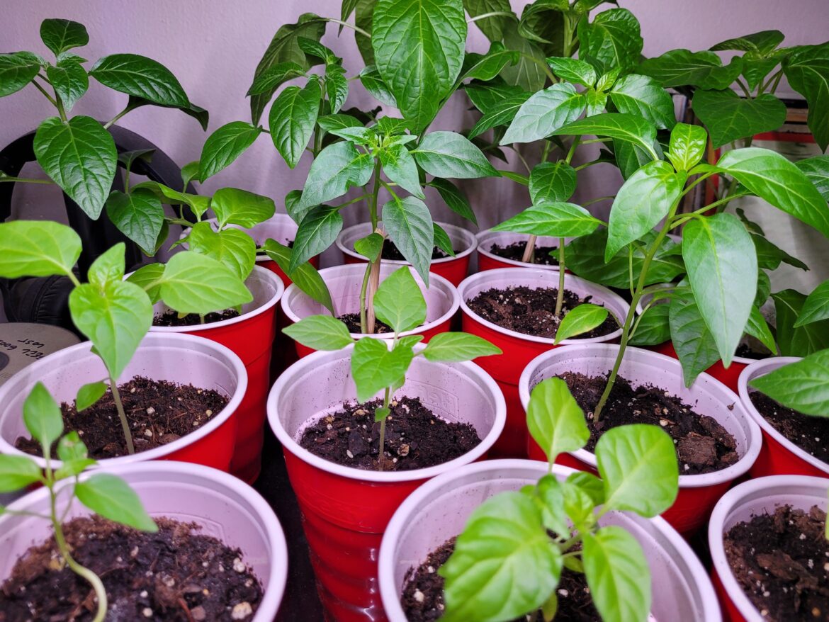 Who else is getting excited for growing season?