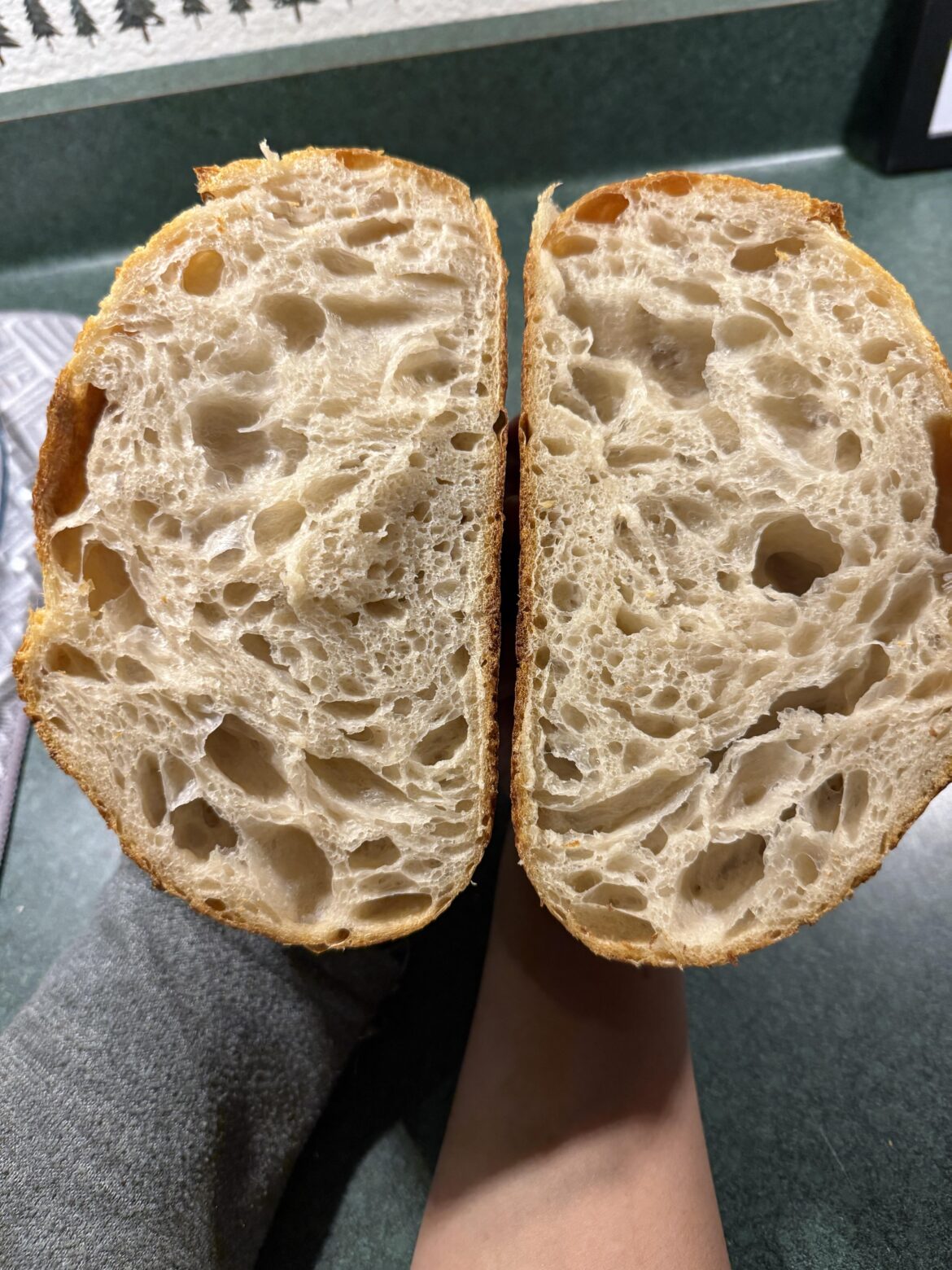 Please rate my crumb! Please rate my crumb!