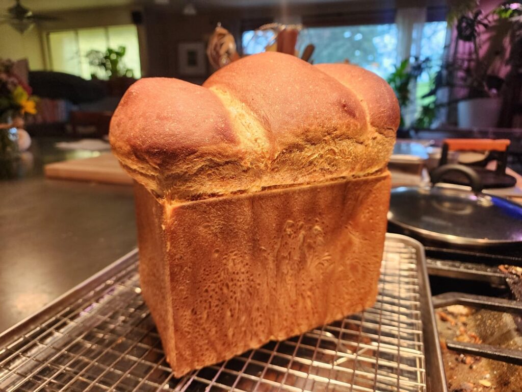 I like big loaves and I cannot lie.