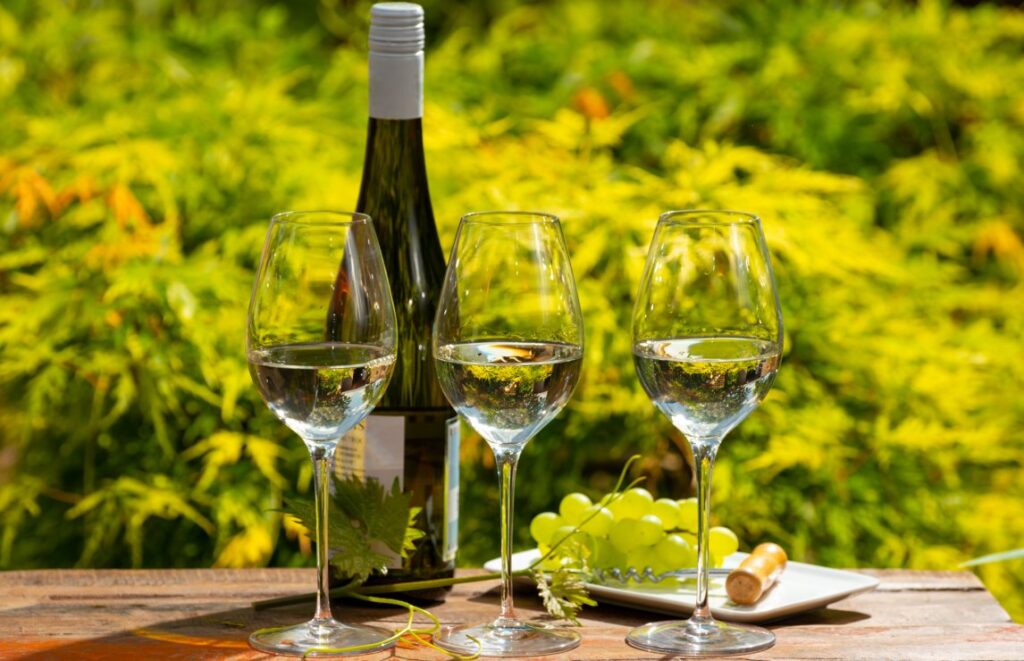 Top 15 German white wines, from Riesling to Silvaner