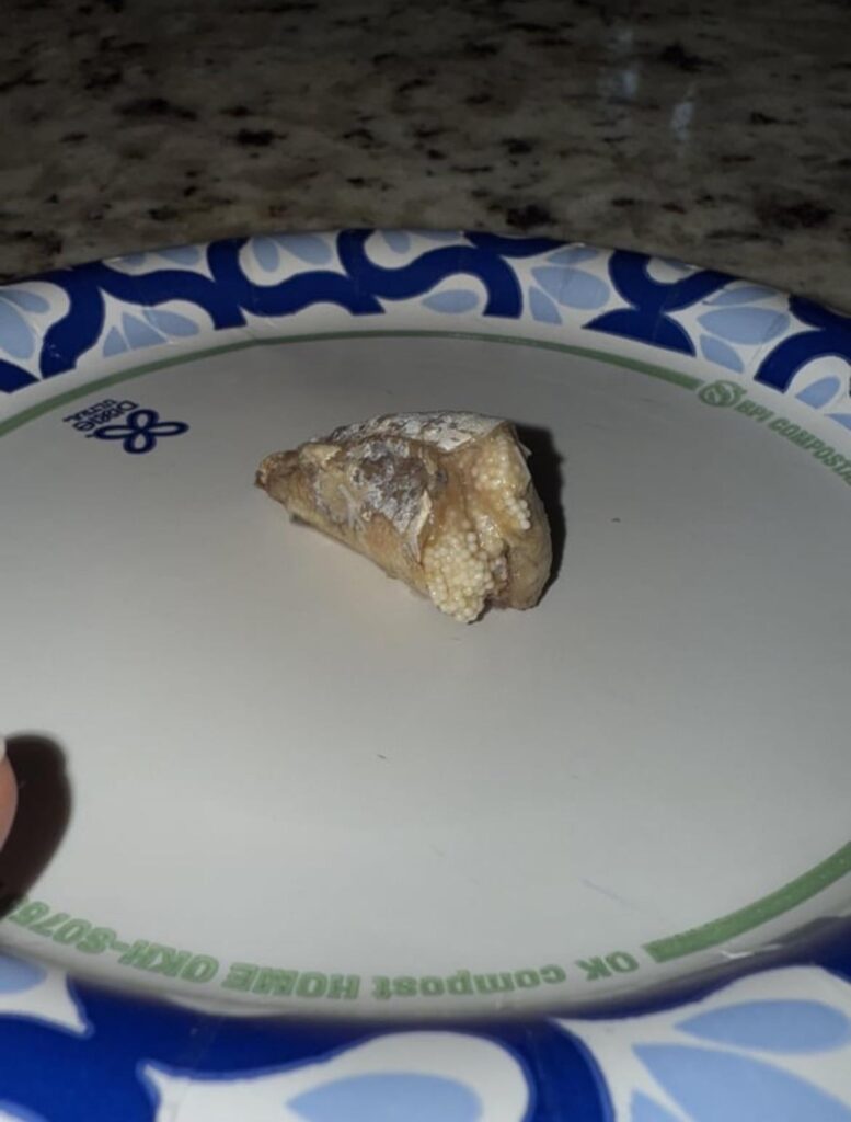 I think this sardine was pregnant :(