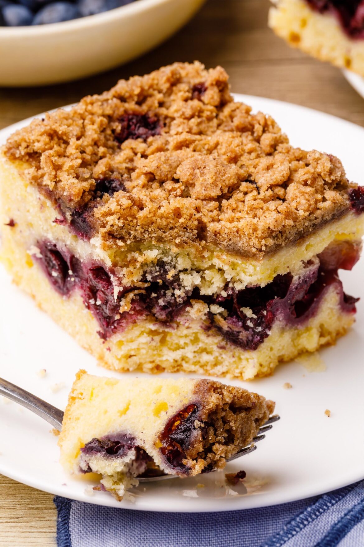 Cinnamon Blueberry Coffee Cake