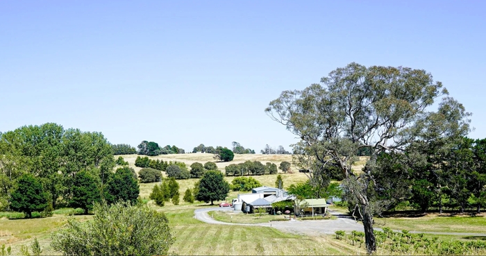 Helm Wine Winery Landscape in Canberra, New South Wales / Photo = Helm Wine Winery homepage