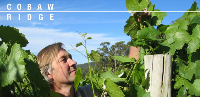 Kobau Ridge Winery in the Masedon Mountains, Victoria / Photo = Kobau Ridge homepage