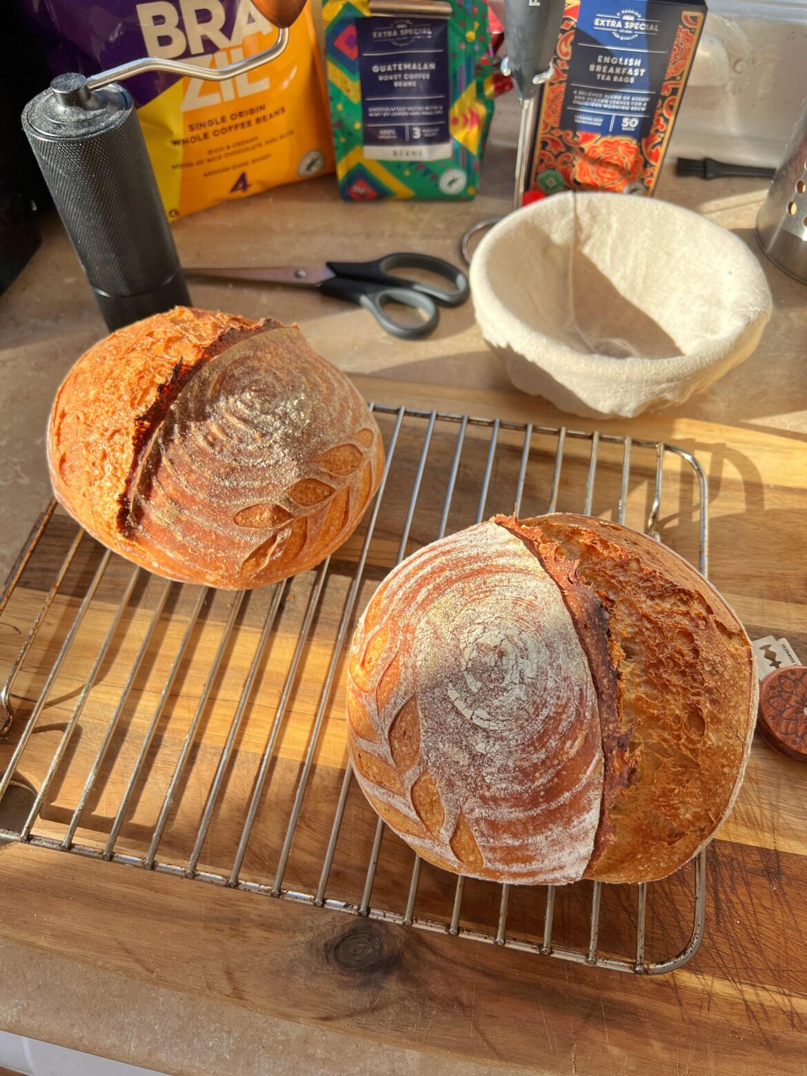 I think I’m finally getting the hang of this