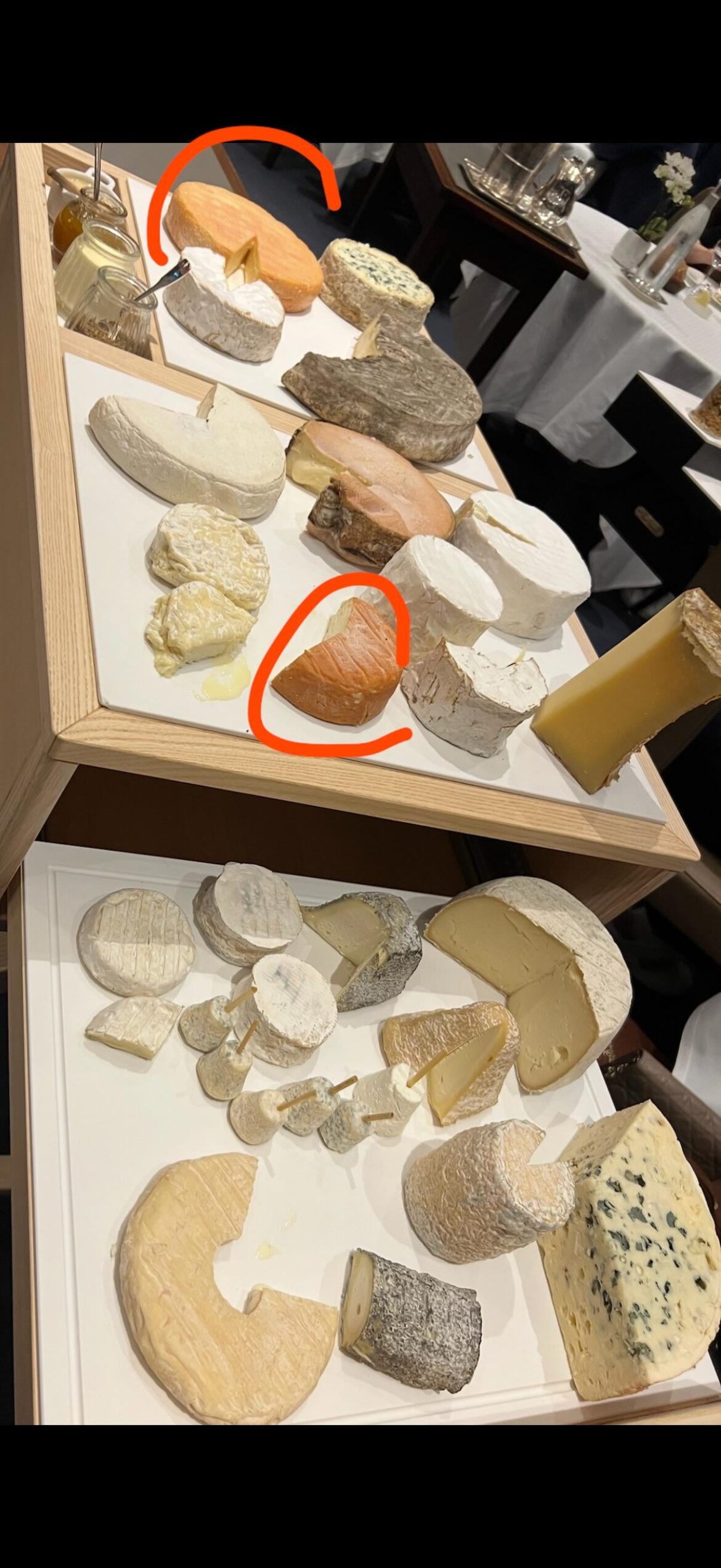 What cheese are the two circled?