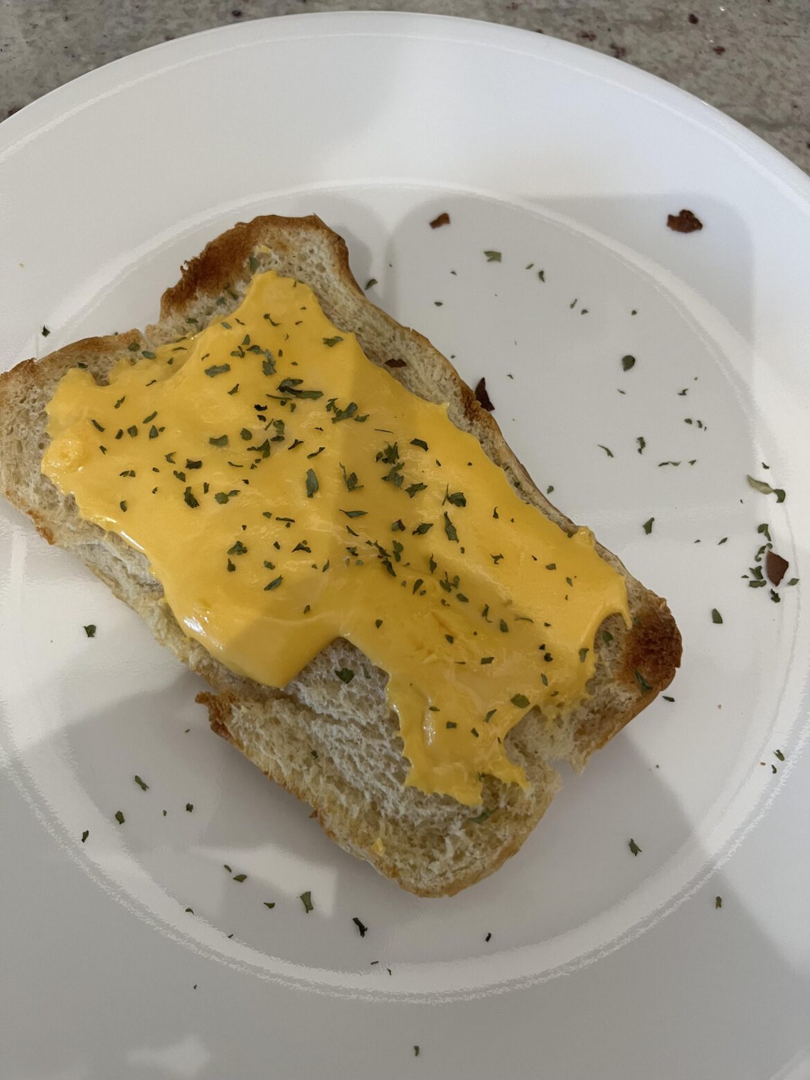 Welsh Rarebit on a hot dog bun with generic cheese