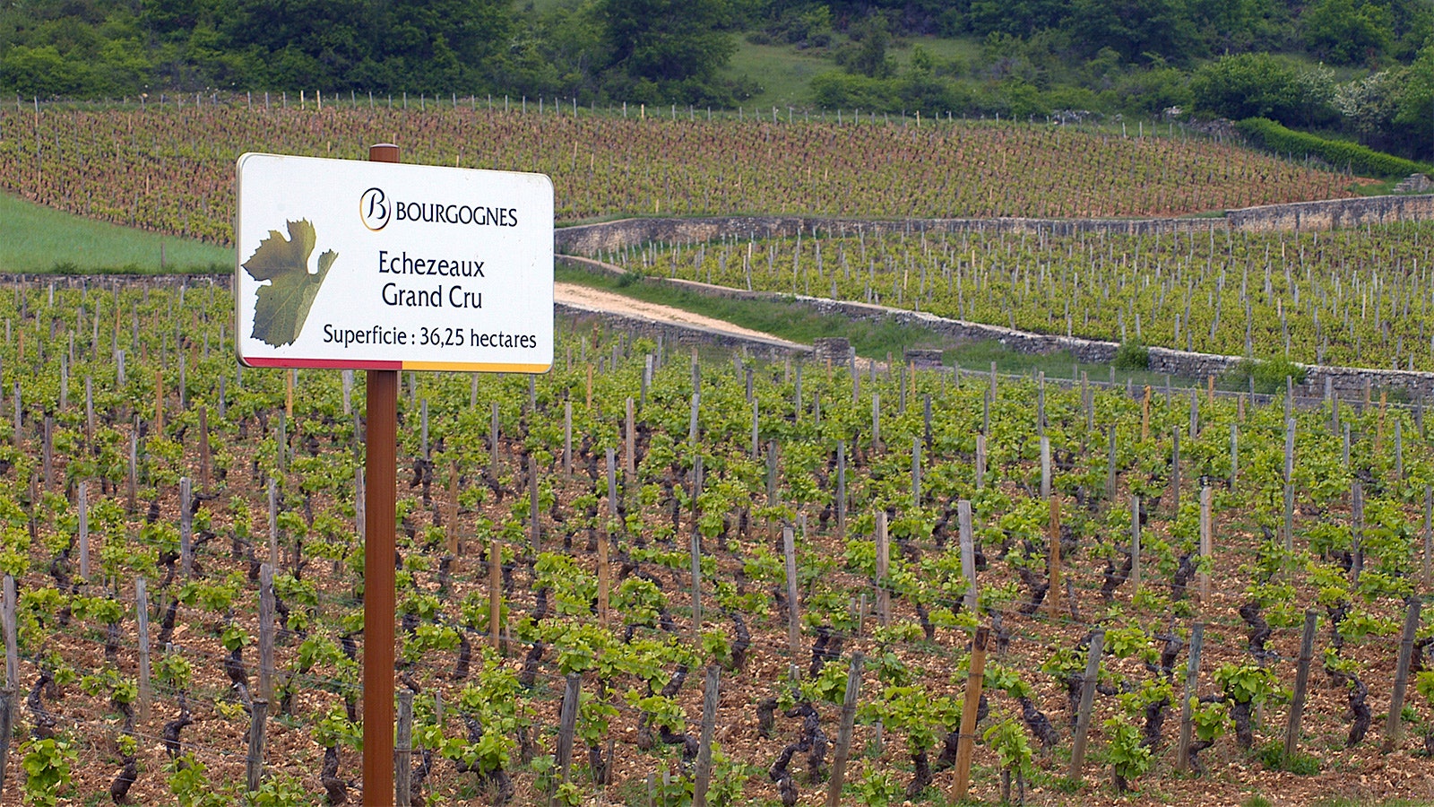  A Bourgognes appellation sign in Burgundy’s <em>grand cru </em>Echezeaux vineyard