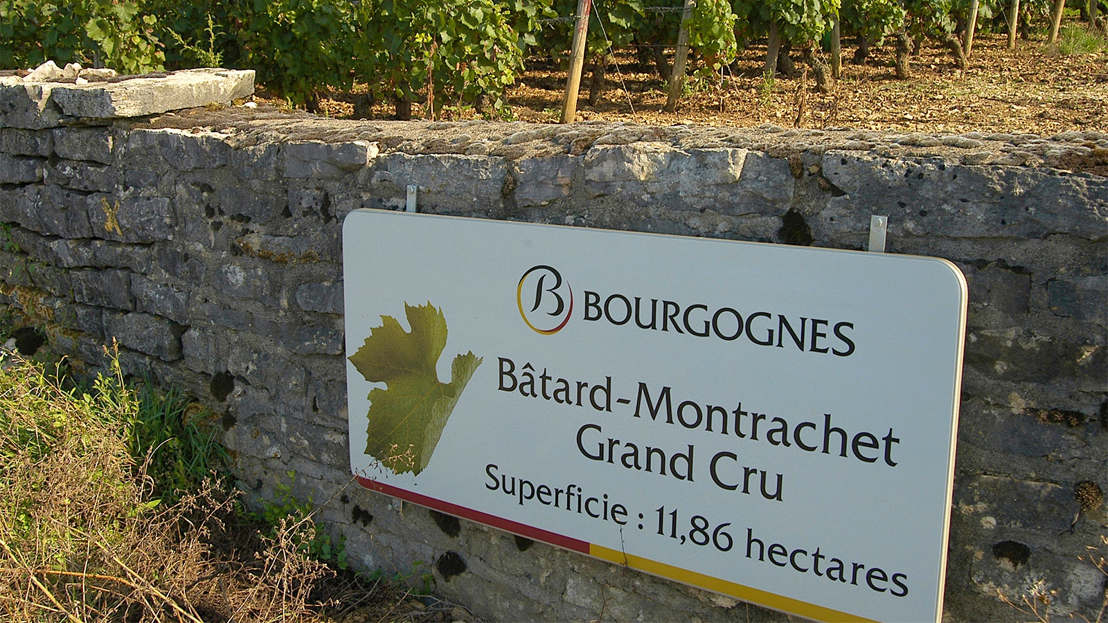  A Bourgognes appellation sign in Burgundy’s <em>grand cru </em>Bâtard-Montrachet vineyard
