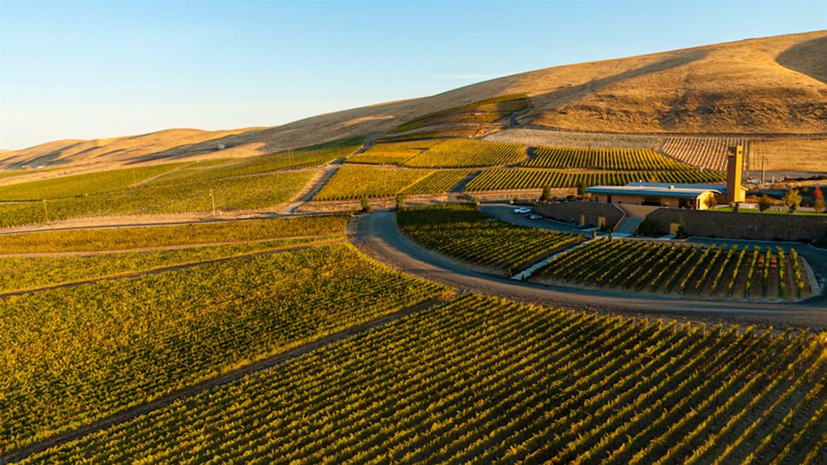 Italy’s Antinori Buys Full Share of Washington’s Col Solare Winery Italy’s Antinori Buys Full Share of Washington’s Col Solare Winery