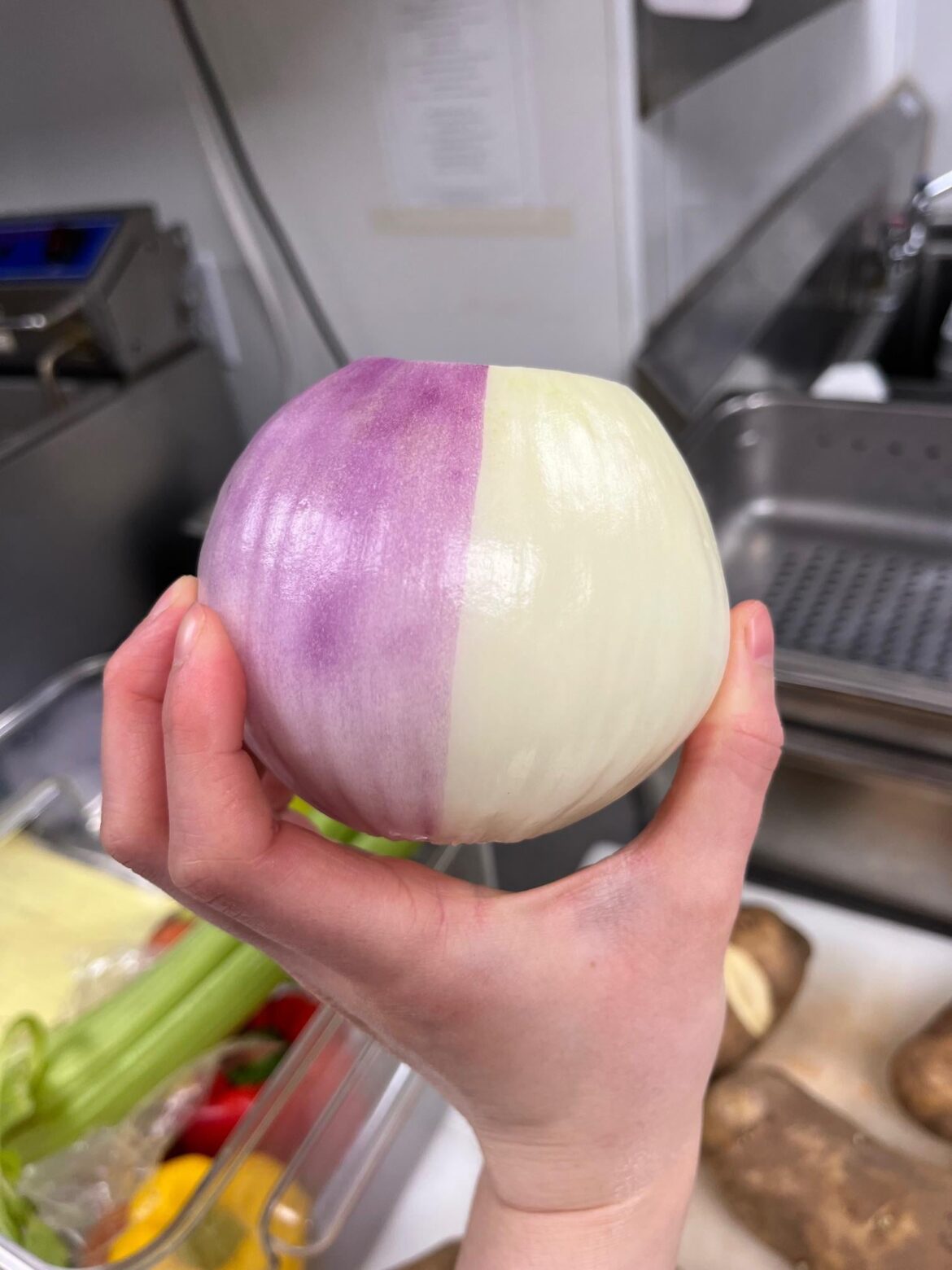 One of my cooks found this half and half onion!