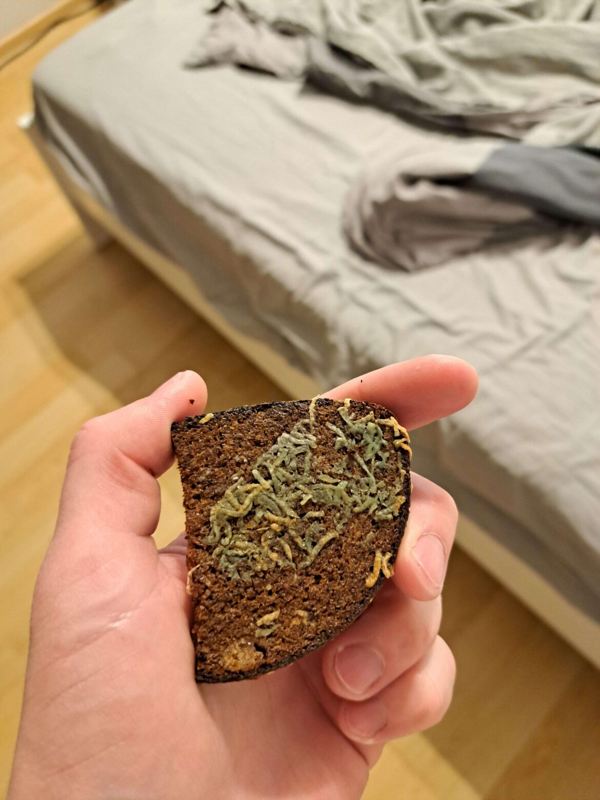 Friend said it looks like I cooked worms on the bread. Also why my WHITE garlic turned green?