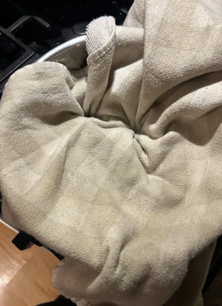 Cat walked in my dough