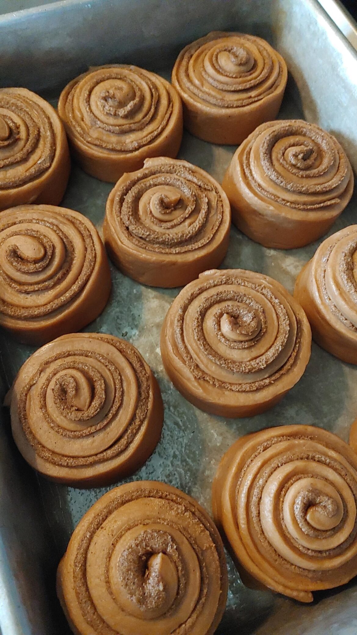 Chocolate cinnamon rolls pre-bake 🍫🖤