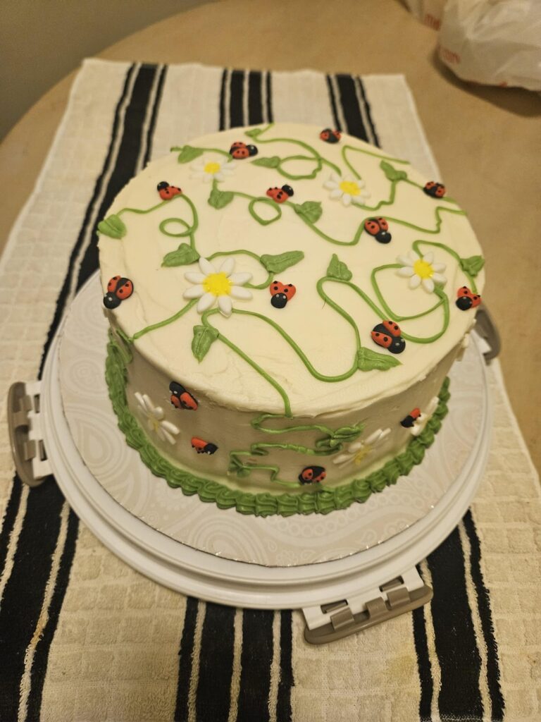 The aesthetic ladybug cake! The aesthetic ladybug cake!