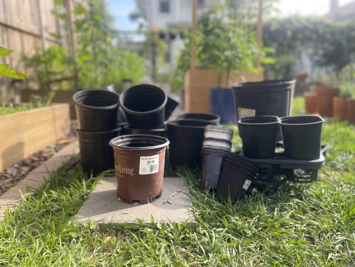 Never underestimate the trash cans at the big box store nurseries!